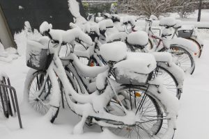 smar elube winter